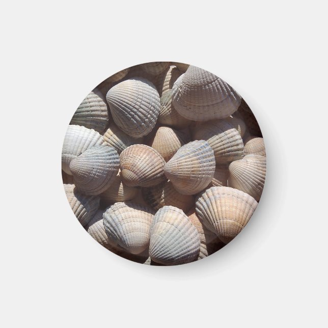 Seashells Beach, Summer Holiday Magnet (Front)