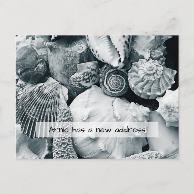 Seashells Black and White New Address Announcement Postcard (Front)