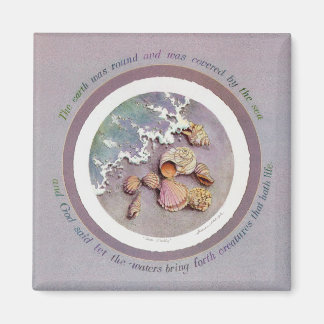 SEASHELLS by SHARON SHARPE Magnet