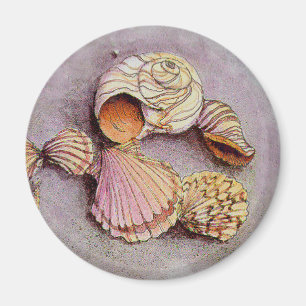 SEASHELLS by SHARON SHARPE Magnet