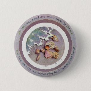 SEASHELLS by the SEASHORE by SHARON SHARPE 6 Cm Round Badge