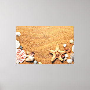 Seashells Canvas Print
