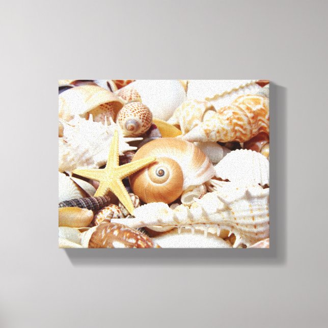 Seashells Canvas Print (Front)