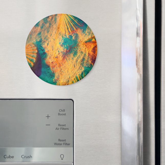 Seashells, Clam Shells, Cockle Shells, Scallops Magnet (In Situ (Fridge))