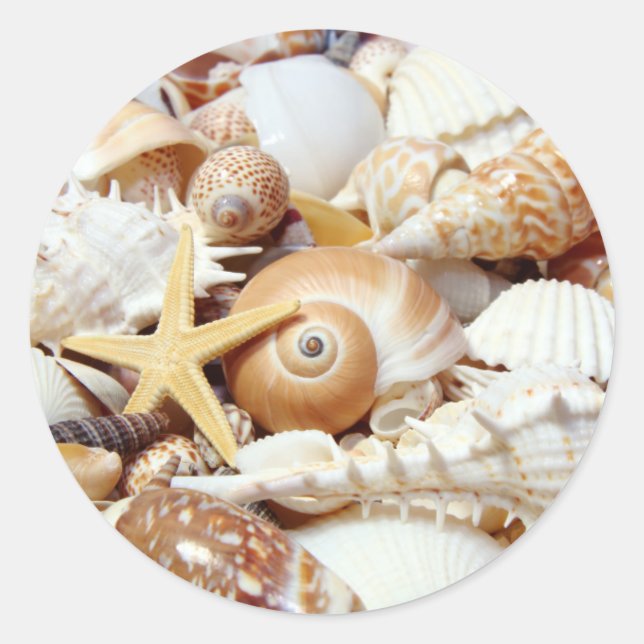 Seashells Classic Round Sticker (Front)