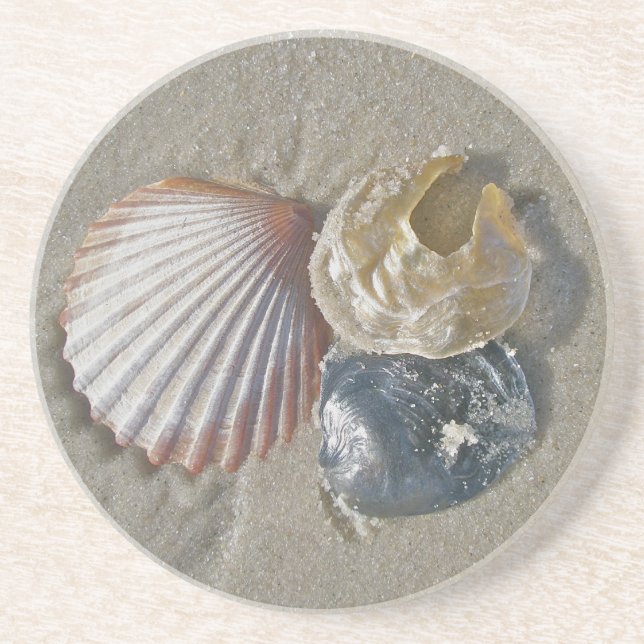 Seashells Coaster (Front)