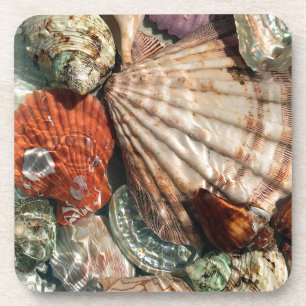 Seashells Coaster