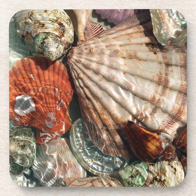 Seashells Coaster (Front)