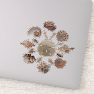 Seashells Collection Mandala