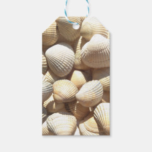 Seashells Collection Summer Beach Gift Tags