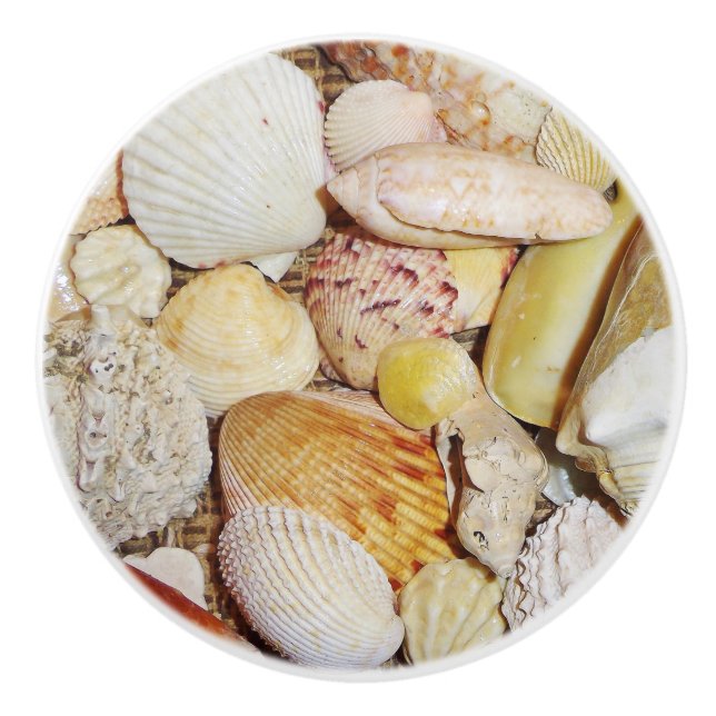 Seashells Drawer Pull (Front)