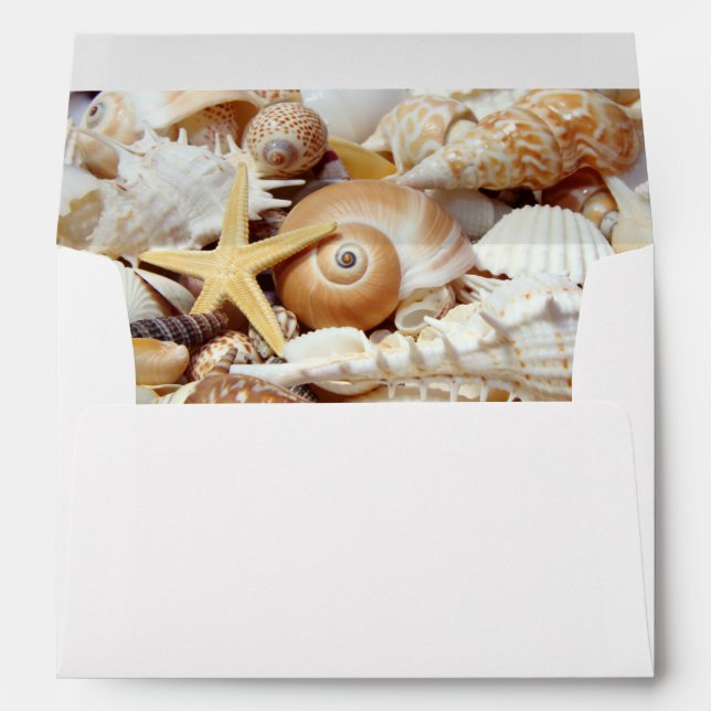 Seashells Envelopes (Back (Bottom))