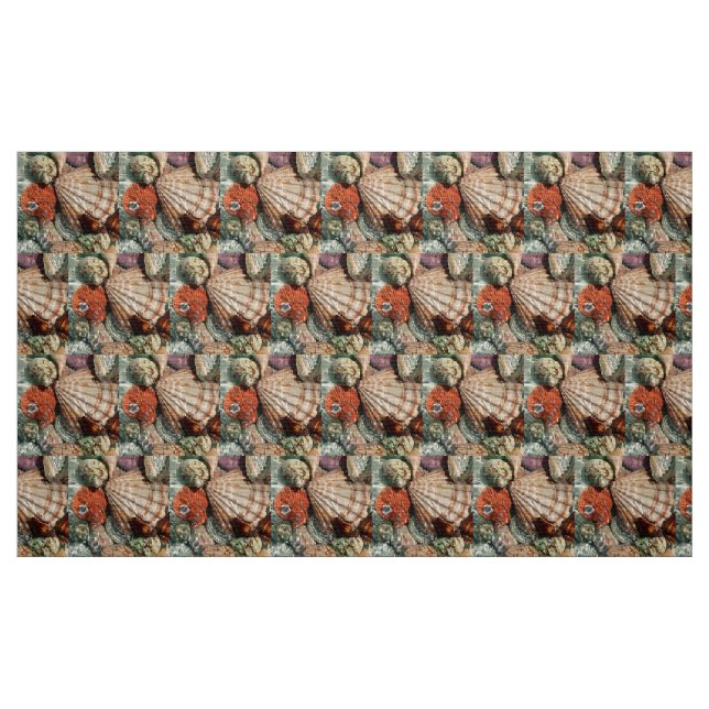 Seashells Fabric (Fat Quarter)