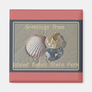 Seashells Greetings From IBSP Seaside Park NJ Magnet