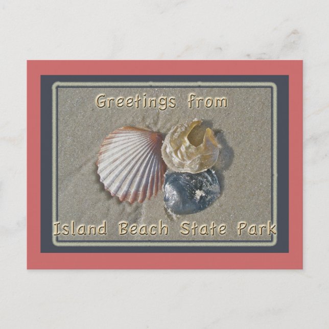 Seashells Greetings From IBSP Seaside Park NJ Postcard (Front)