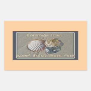 Seashells Greetings From IBSP Seaside Park NJ Rectangular Sticker