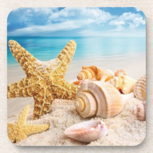 Seashells Hard plastic coasters