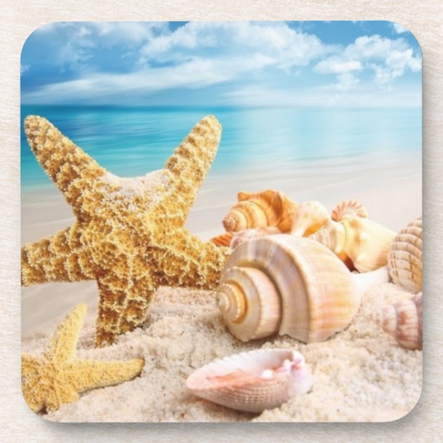 Seashells Hard plastic coasters (Front)