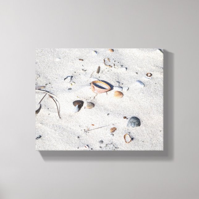 Seashells in the Sand Colour 8x10 Canvas Print (Front)