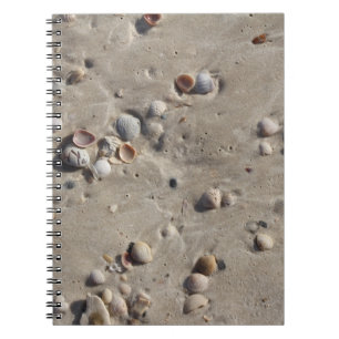 Seashells in the Wet Sand Spiral Notebook
