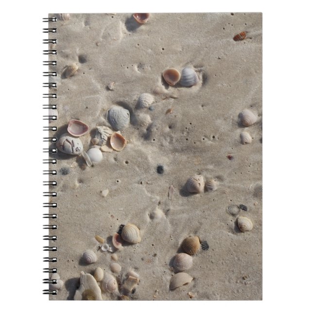 Seashells in the Wet Sand Spiral Notebook (Front)