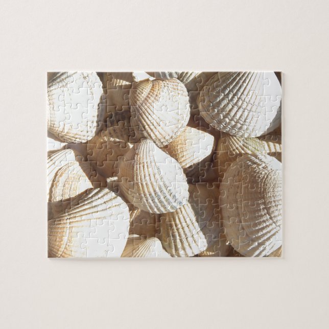 Seashells Jigsaw Puzzle (Horizontal)