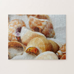seashells jigsaw puzzle