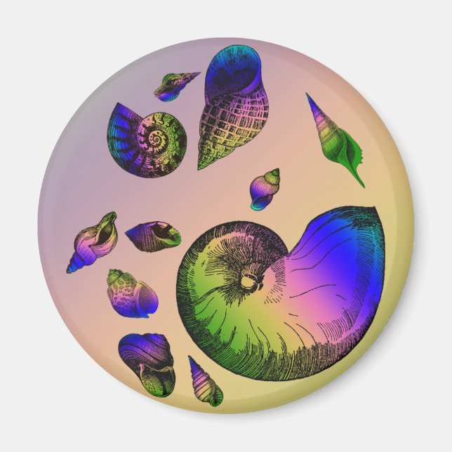 Seashells Magnet (Front)