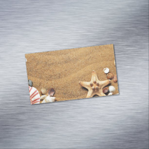 Seashells Magnetic Business Card