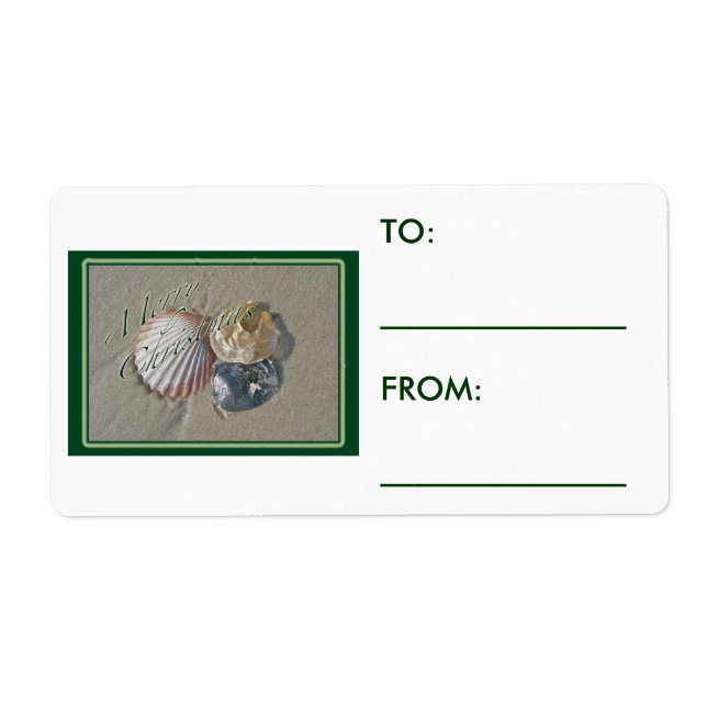 Seashells Merry Christmas Series (Front)