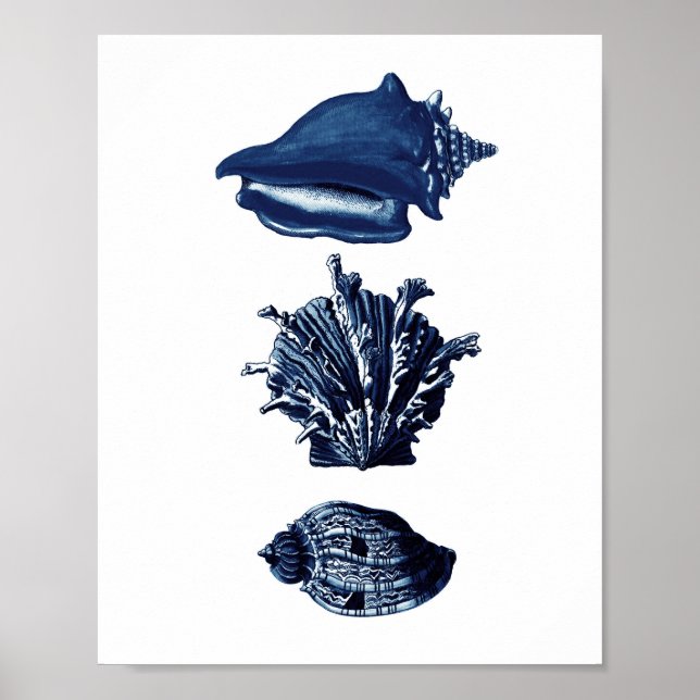 Seashells Navy Blue Decor (Front)