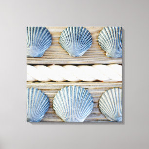 Seashells   New York City Canvas Print