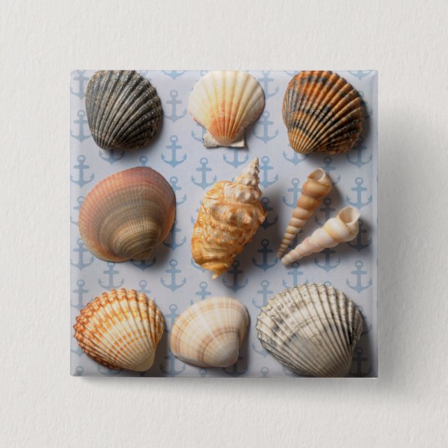 Seashells On Anchor Backdrop 15 Cm Square Badge (Front)