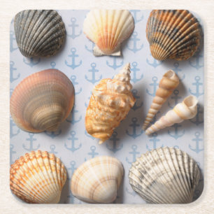 Seashells On Anchor Backdrop Square Paper Coaster