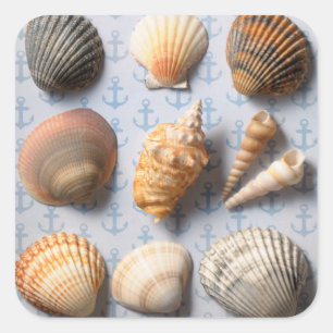 Seashells On Anchor Backdrop Square Sticker