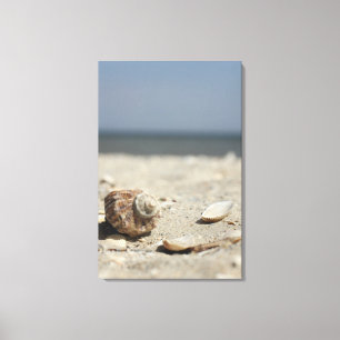Seashells On Sand By The Sea Canvas Print