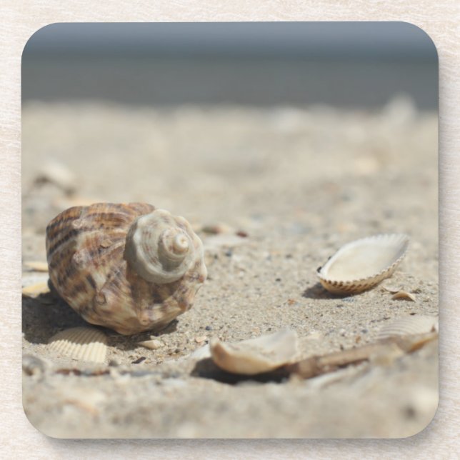 Seashells On Sand By The Sea Coaster (Front)