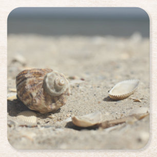 Seashells On Sand By The Sea Square Paper Coaster