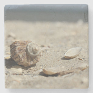 Seashells On Sand By The Sea Stone Coaster