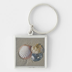 Seashells on the Beach Business Card Key Ring