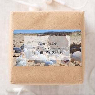 Seashells on the Beach by Shirley Taylor