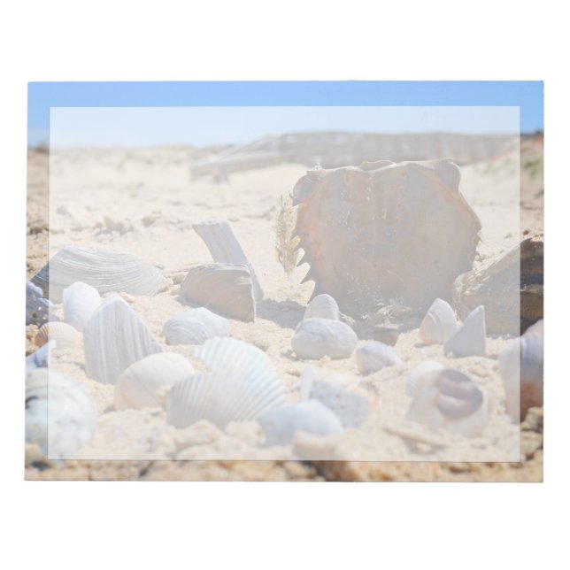 Seashells on the Beach by Shirley Taylor Notepad (Front)