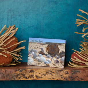 Seashells on the Beach by Shirley Taylor Plaque