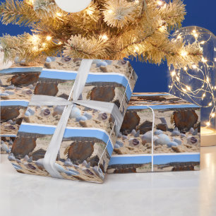 Seashells on the Beach by Shirley Taylor Wrapping Paper