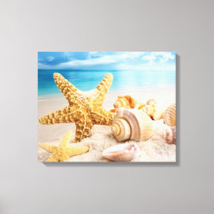 Seashells on the beach canvas print