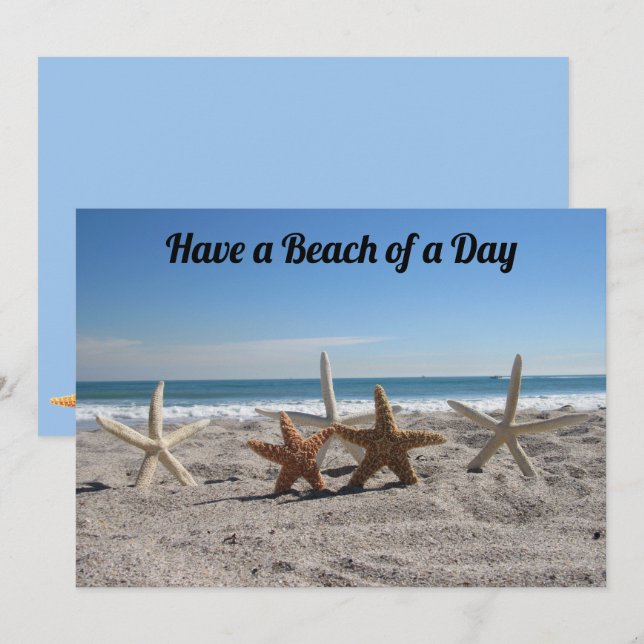 Seashells on the Beach - Florida Life - Flat Card (Front/Back)