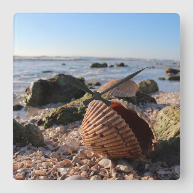 Seashells on the beach in Florida wall clock (Front)