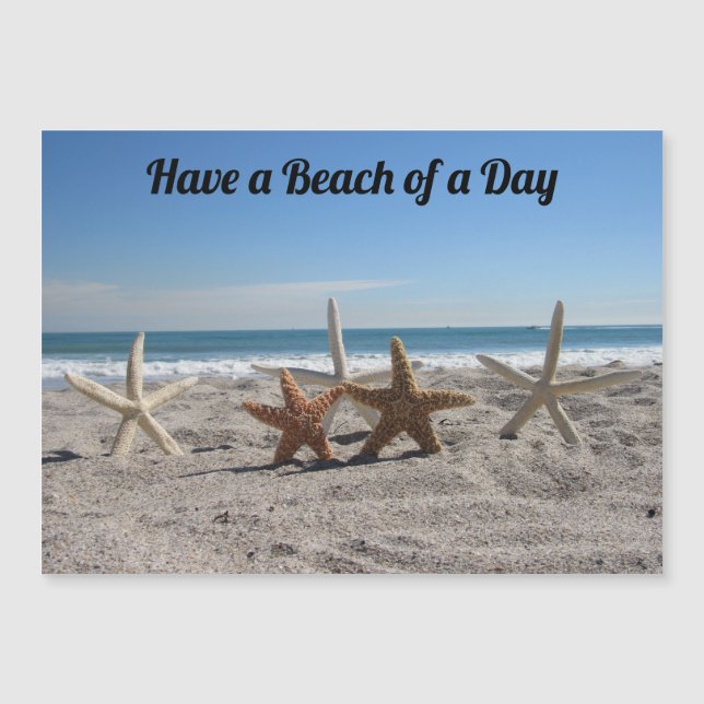 Seashells on the Beach - Magnetic Card (Front)