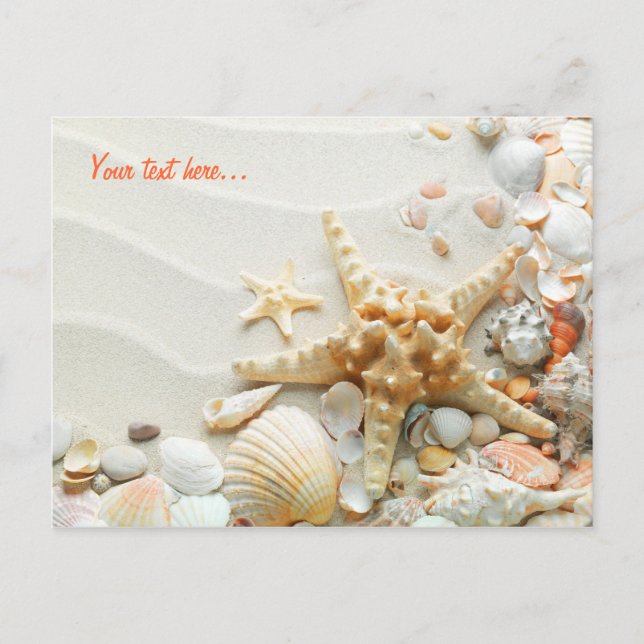Seashells on the beach postcard (Front)