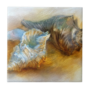 Seashells on the beach tile